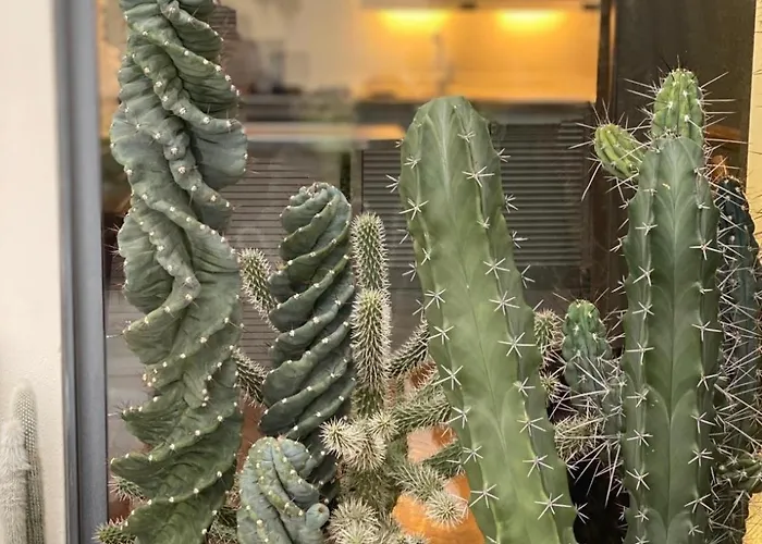 Jr Luxury Apartament